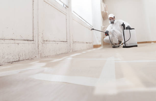 24/7 Emergency Crawl Space Mold Removal experts in Milton, FL